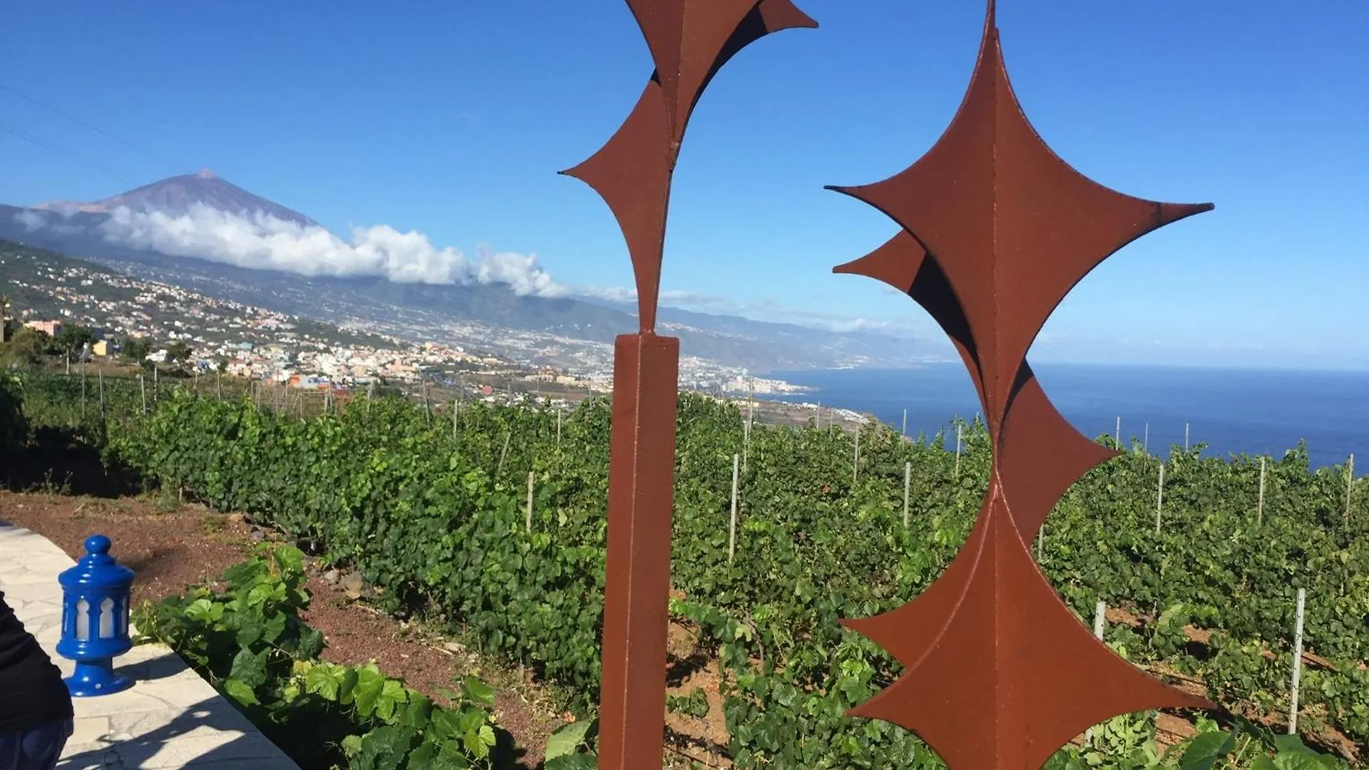Finca Angelus Apartment Syrah With Amazing Views La Matanza De Acentejo